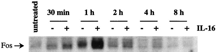 Fig. 9.