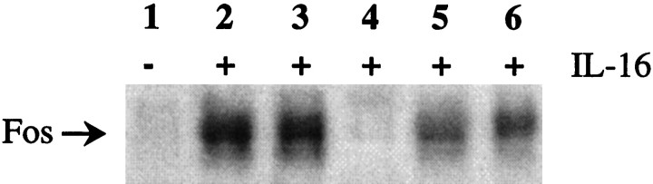 Fig. 10.