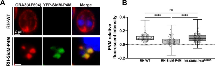 Figure 7.