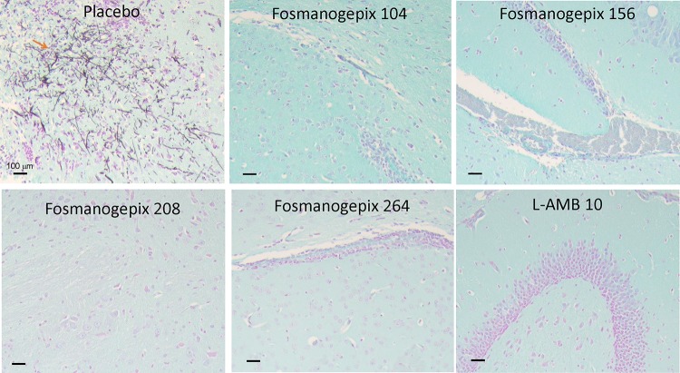 FIG 3