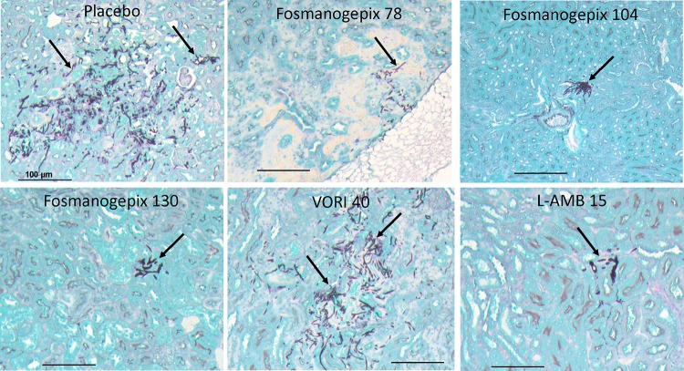 FIG 6