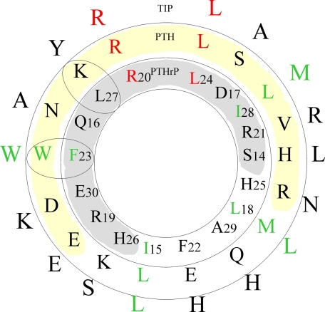 FIGURE 3.