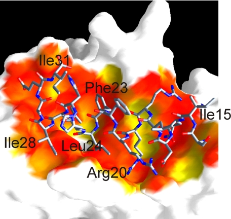 FIGURE 2.