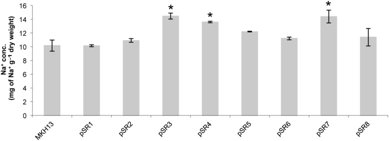 FIGURE 7