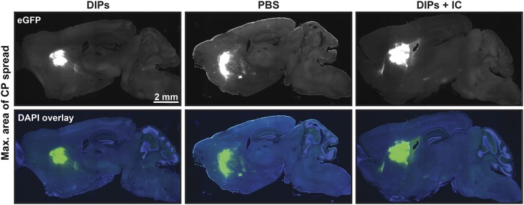 Fig. S3.