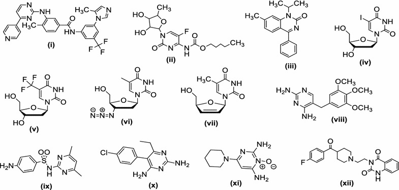 Fig. 1