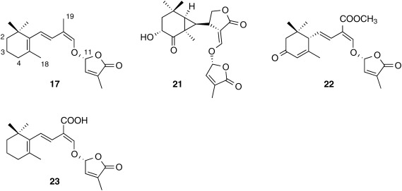 Fig. 2. Structures of non-canonical strigolactones.