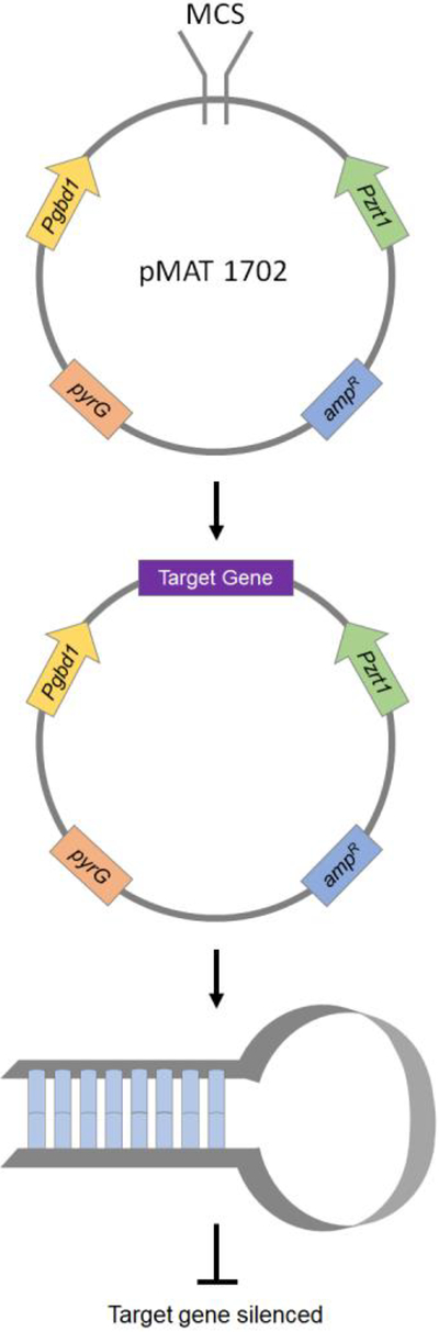 Figure 2.