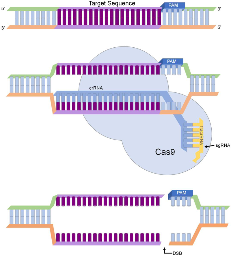 Figure 3.