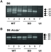 Fig 6