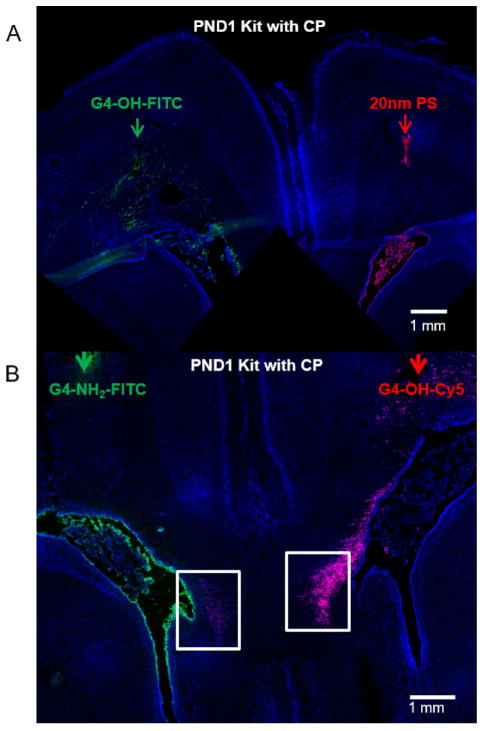 Fig. 3