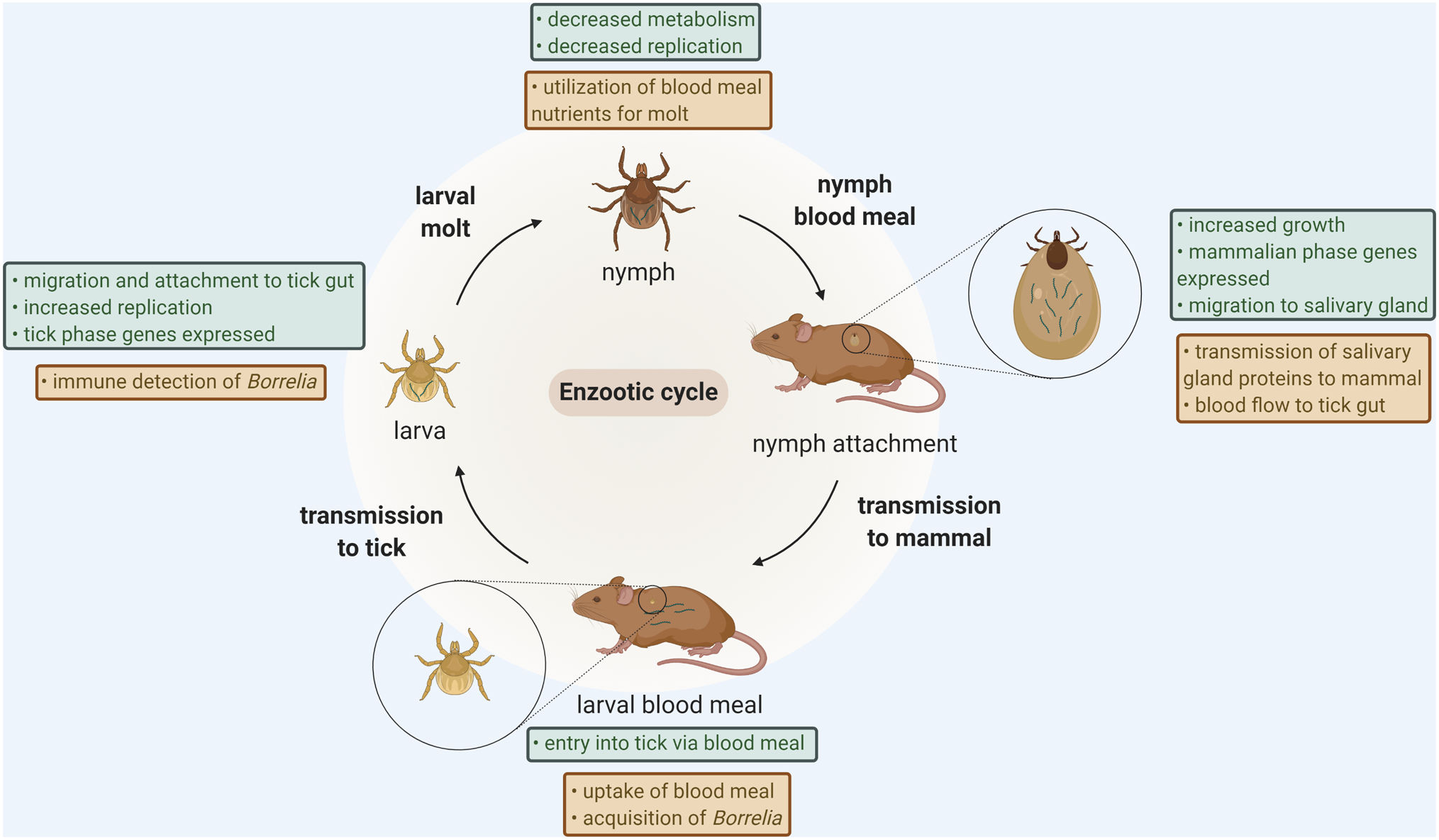 Figure 1: