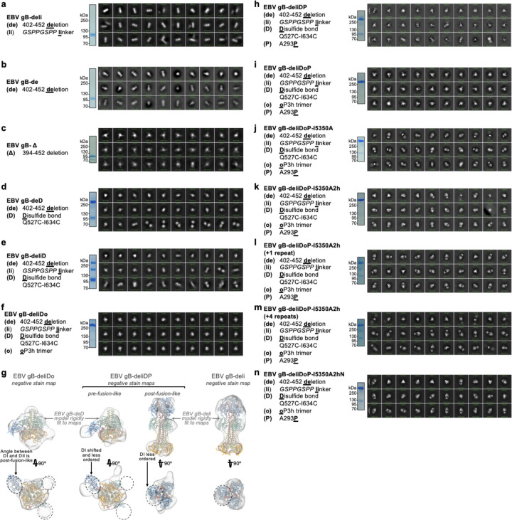 Extended Data Figure 3.