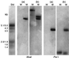 FIG. 7