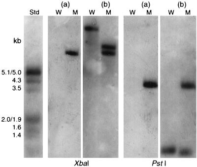 FIG. 7