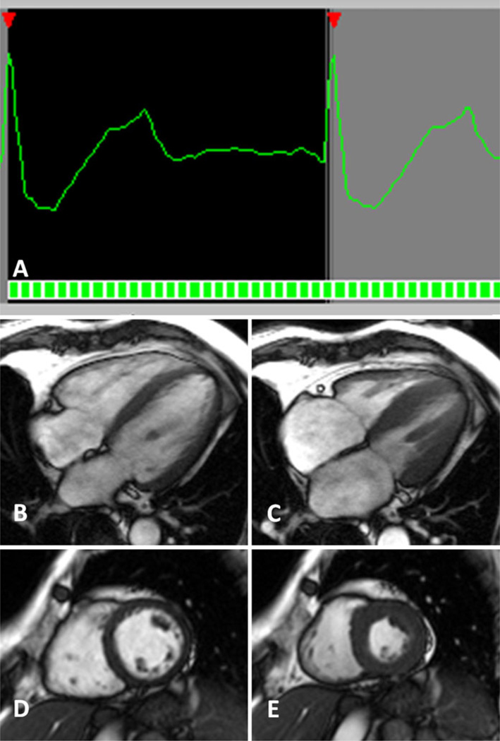 Fig. 5