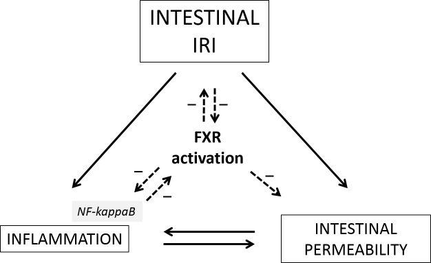 Fig 7