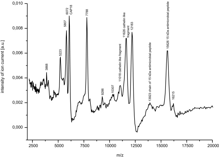 Fig. 2