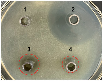 graphic file with name microorganisms-11-02371-i004.jpg