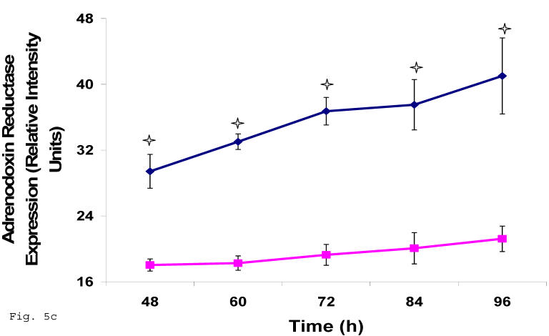 Fig 5