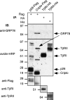 FIG. 6.
