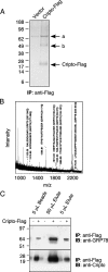 FIG. 1.