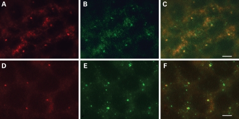 Figure 6.