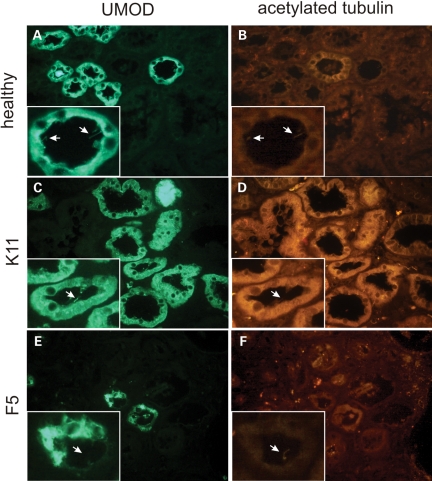 Figure 2.