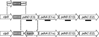 FIG. 1.