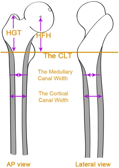 Fig. 2