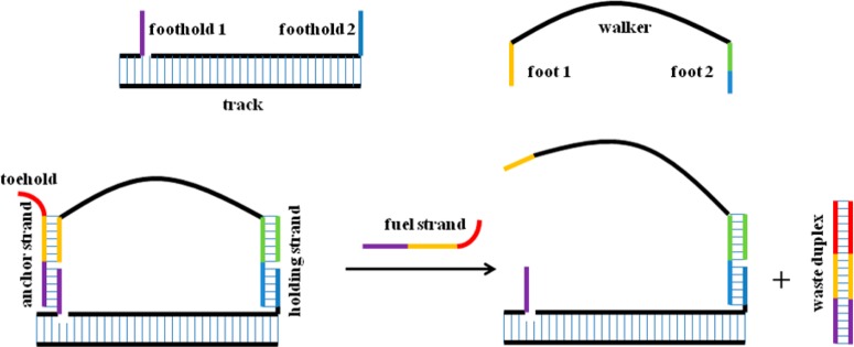 Figure 74