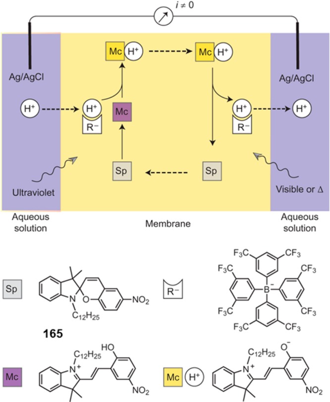 Figure 70