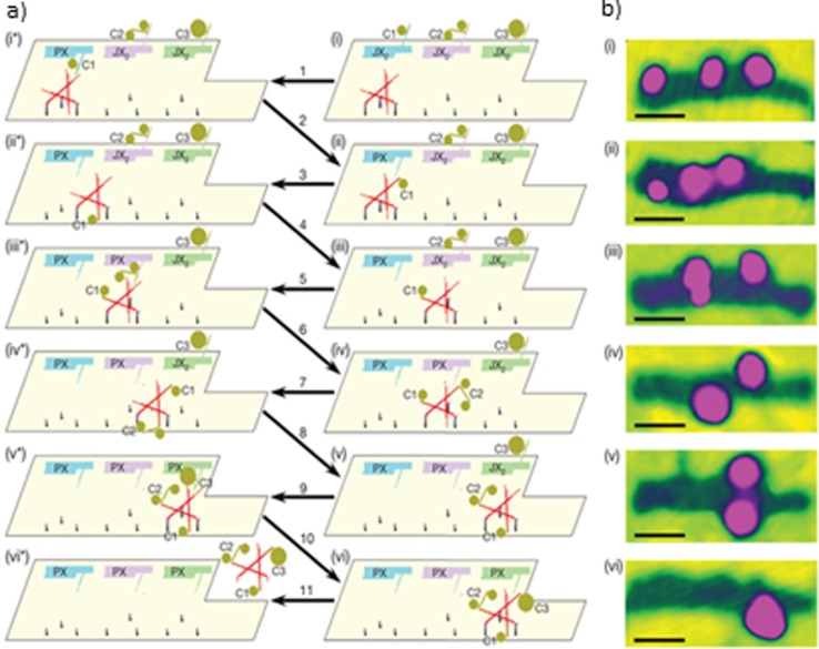 Figure 76