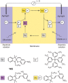 Figure 70