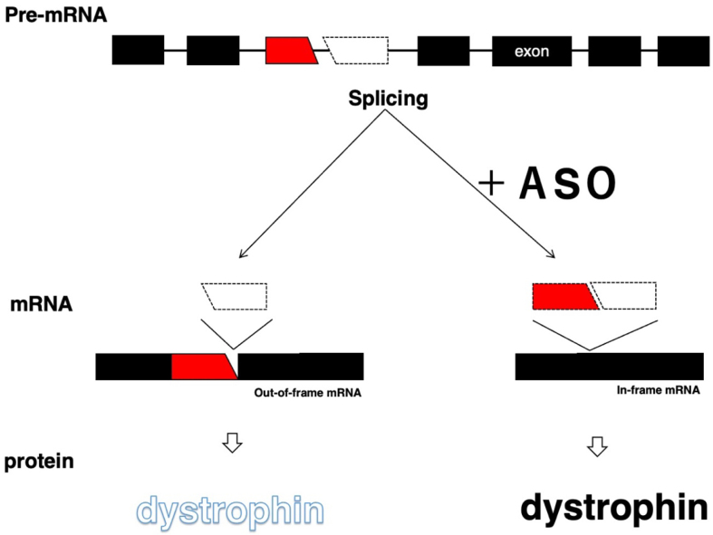 Figure 1.