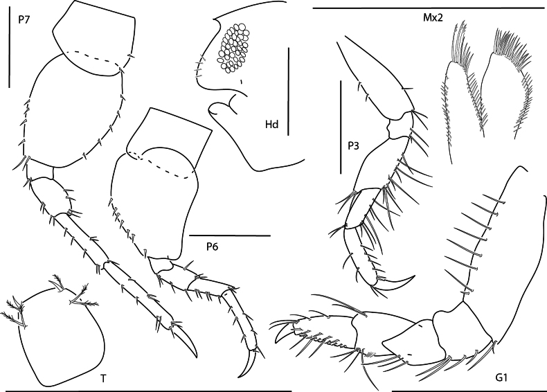 Figure 7.