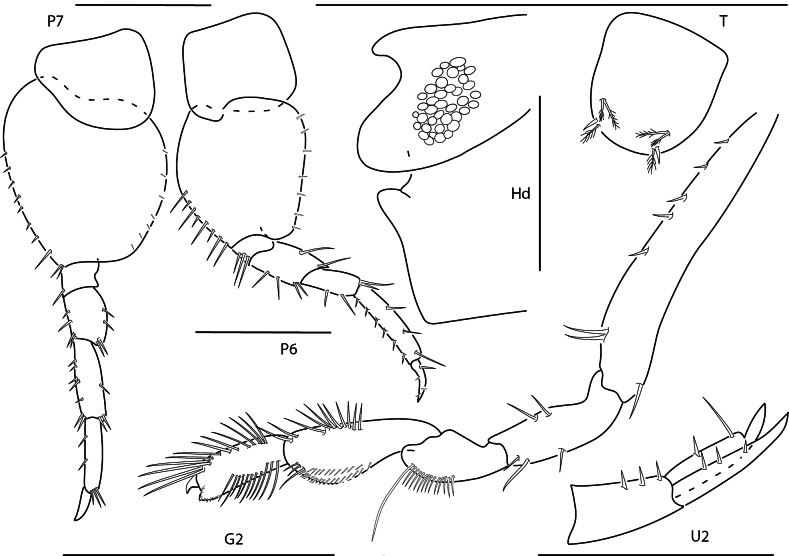 Figure 6.