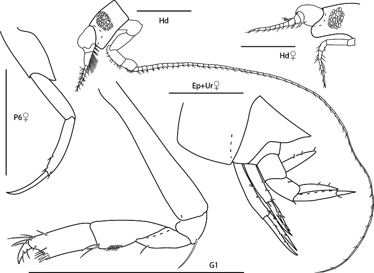 Figure 8.