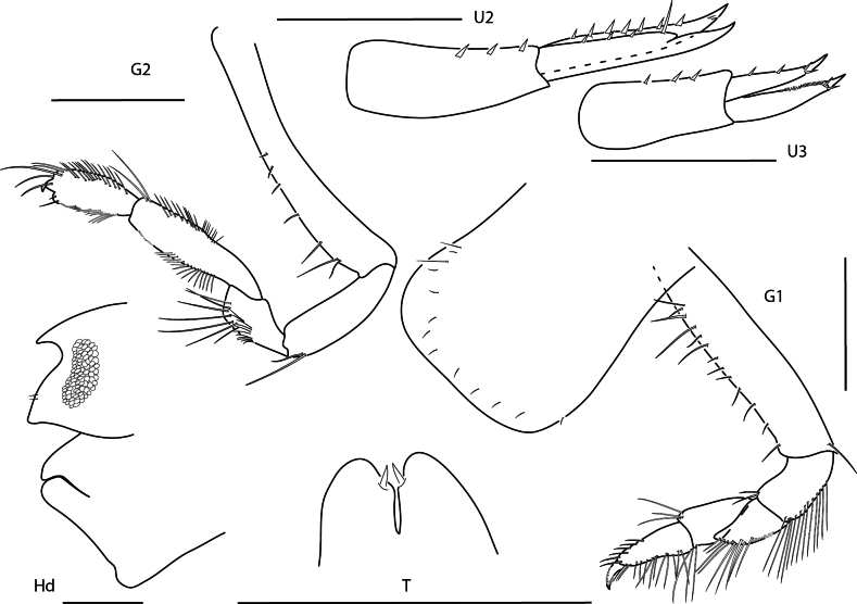 Figure 3.