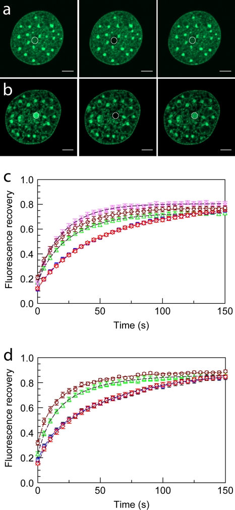 FIG. 7.