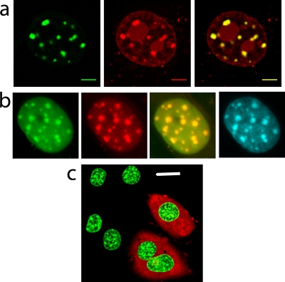 FIG. 6.