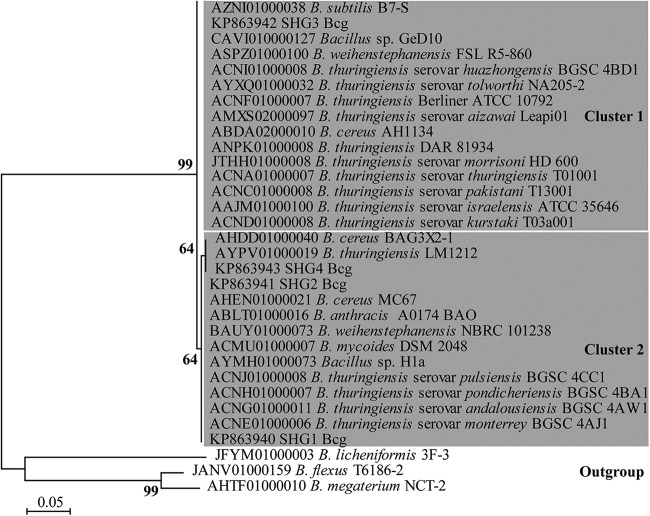 FIG 1