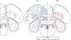 Fig 7