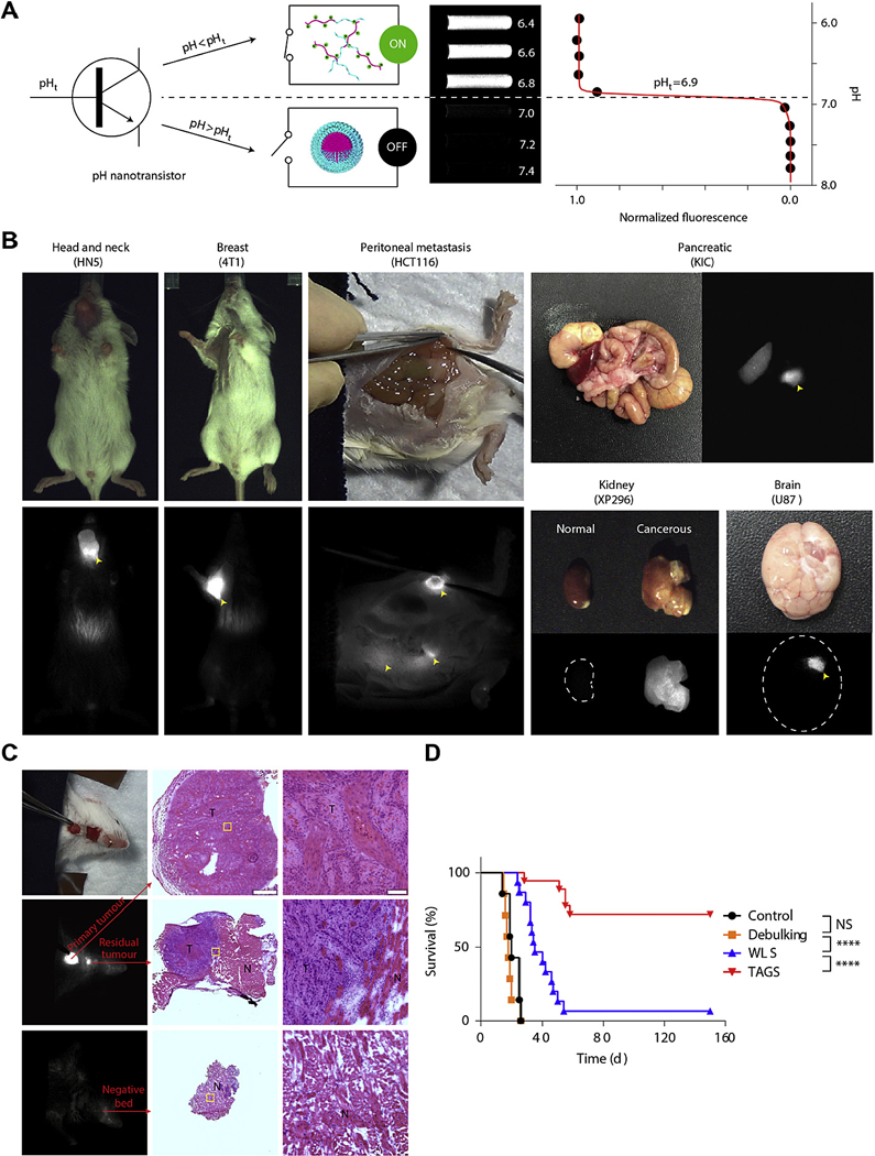 Fig. 7