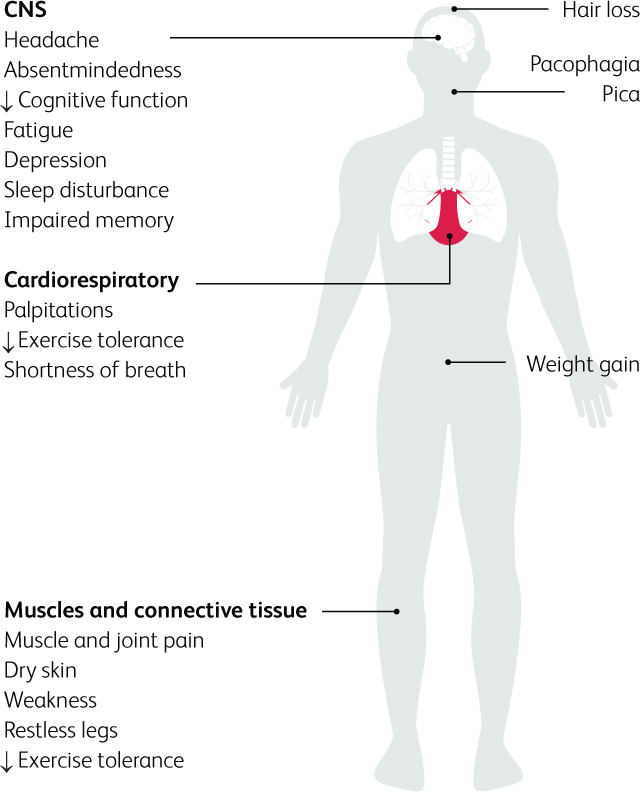 Fig 3.