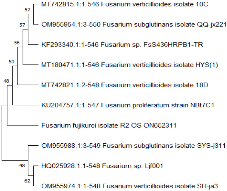 Figure 2