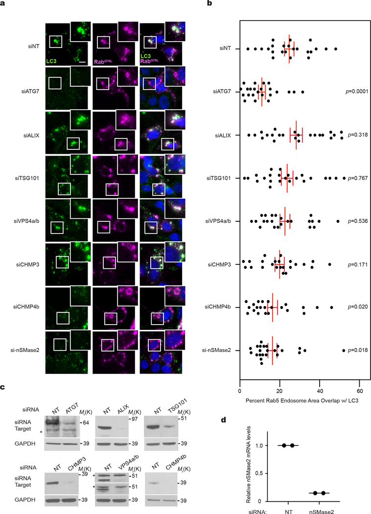 Extended Data Fig. 6: