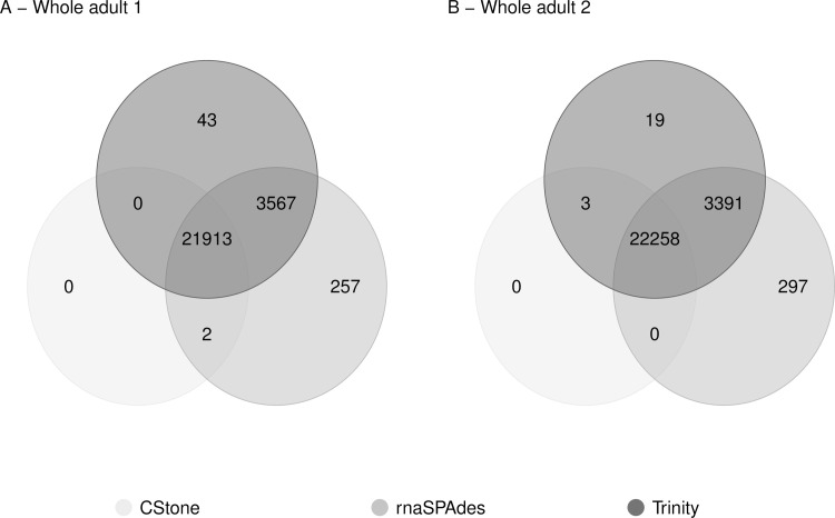 Fig 13