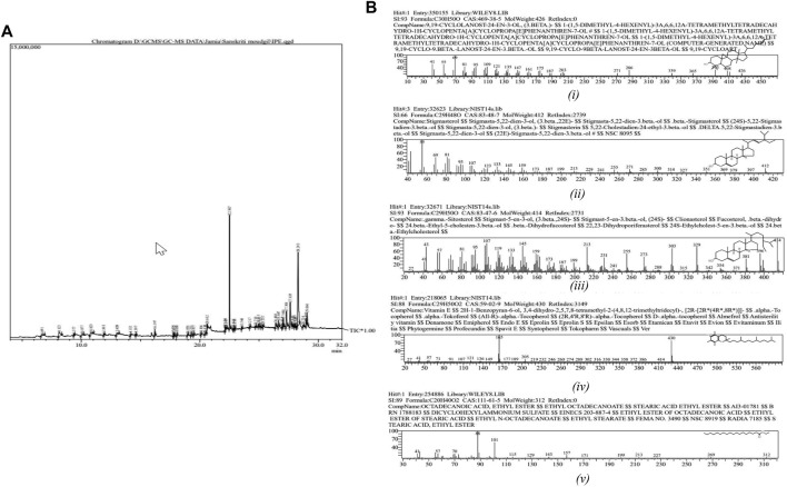 FIGURE 3