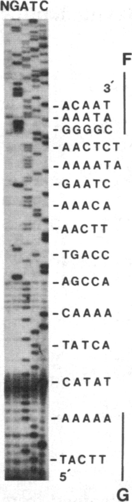 graphic file with name pnas00317-0022-h.jpg